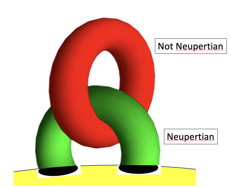 Neupertianity - HelioWiki Home Page