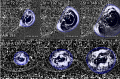 Thumbnail for version as of 12:47, 24 July 2026