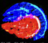 Icon535.png