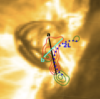 Icon506.png