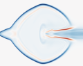 Thumbnail for version as of 12:00, 24 April 2025