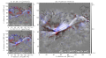 Thumbnail for version as of 14:34, 1 November 2024