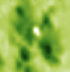 Icon498.png