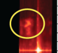 Thumbnail for version as of 14:34, 1 November 2024